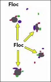 Coagulation