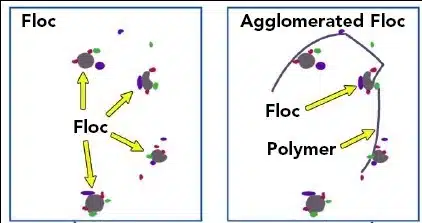 Flocculation Step