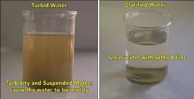 Turbid and Clarified water